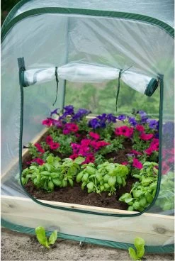 Nature - Tuinbroeikas Pop-up - 100 X 100 X 100cm - Vierkante Meter Tuin -Tuin En Buiten 806x1200 3