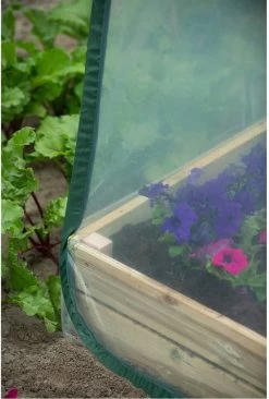 Nature - Tuinbroeikas Pop-up - 100 X 100 X 100cm - Vierkante Meter Tuin -Tuin En Buiten 810x1200