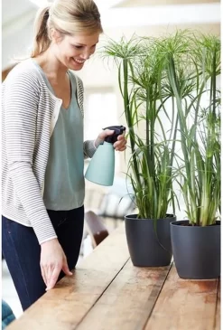 Elho Brussels Sprayer 12 - Plantenspuit Voor Binnen - Ø 11.3 X H 22.3 Cm - Groen/Mint -Tuin En Buiten 813x1200