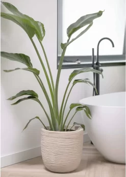 Capi Europe - Bloempot Bol Waste Rib NL - 43x41 - Terrazzo Beige - Voor Binnen En Buiten - KTBR933 -Tuin En Buiten 856x1200 2