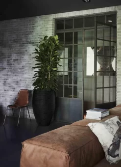 Capi Europe - Vaas Elegant Deluxe Rib NL - 56x84 - Zwart - Voor Binnen En Buiten - KBLR1132 12 Capi Europe - Vaas Elegant Deluxe Rib NL - 56x84 - Zwart - Voor Binnen En Buiten - KBLR1132 -Tuin En Buiten 873x1200