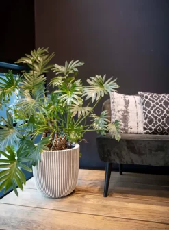 Capi Europe - Bloempot Bol Groove NL - 35x34 - Goud - Voor Binnen En Buiten - KGVGB932 -Tuin En Buiten 883x1200 1