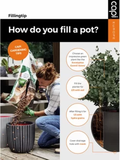 Capi Europe - Bloempot Rechthoek Smooth NL - 36x36x79 - Zwart - Voor Binnen En Buiten - KBL952 31 Capi Europe - Bloempot Rechthoek Smooth NL - 36x36x79 - Zwart - Voor Binnen En Buiten - KBL952 -Tuin En Buiten 895x1200 3