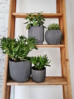 Capi Europe - Set Van 4 - Bloempot Binnen - Groove - Antraciet -Tuin En Buiten 899x1200 2