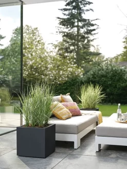 Elho Vivo Next Vierkant 40 - Plantenbak Voor Binnen & Buiten - Ø 39.0 X H 37.9 Cm - Zwart/Living Black 27 Elho Vivo Next Vierkant 40 - Plantenbak Voor Binnen & Buiten - Ø 39.0 X H 37.9 Cm - Zwart/Living Black -Tuin En Buiten 900x1200 10