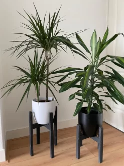 Plantenstandaard Binnen - Set Van 2 - Diameter Tot 24 Cm - Plantenkruk - Bloempotten Voor Binnen - Plantentafeltje Voor Binnen - Bloempot Standaard - Plantenstandaard - Hout - Mat Zwart/Donkergrijs -Tuin En Buiten 900x1200 18