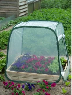 Nature - Tuinbroeikas Pop-up - 100 X 100 X 100cm - Vierkante Meter Tuin -Tuin En Buiten 908x1200 1