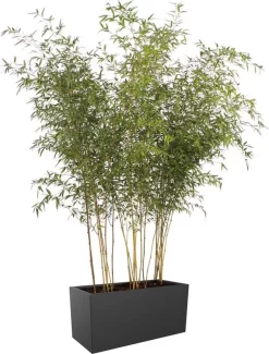 Elho Vivo Matt Finish Lang Wielen 90 - Grote Staande Plantenbak Voor Binnen & Buiten - Gemaakt Van Gereycled Plastic - L 39 X W 88 X H 41 Cm - Zwart -Tuin En Buiten 911x1200