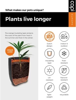 Capi Europe - Bloempot Bol Smooth NL - 43x41 - Zwart - Voor Binnen En Buiten - KBL933 -Tuin En Buiten 917x1200 4