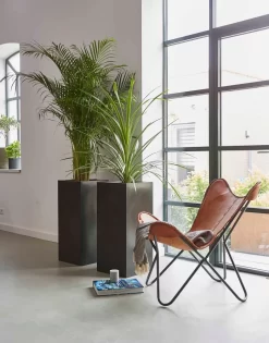 Capi Europe - Bloempot Rechthoek Smooth NL - 36x36x79 - Zwart - Voor Binnen En Buiten - KBL952 20 Capi Europe - Bloempot Rechthoek Smooth NL - 36x36x79 - Zwart - Voor Binnen En Buiten - KBL952 -Tuin En Buiten 941x1200 1