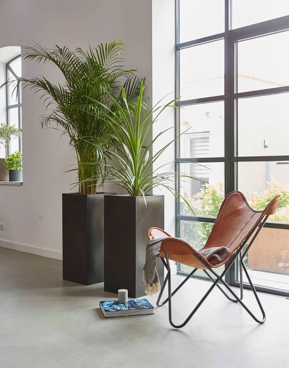 Capi Europe - Bloempot Rechthoek Smooth NL - 36x36x79 - Zwart - Voor Binnen En Buiten - KBL952 3 Capi Europe - Bloempot Rechthoek Smooth NL - 36x36x79 - Zwart - Voor Binnen En Buiten - KBL952 - Afbeelding 3