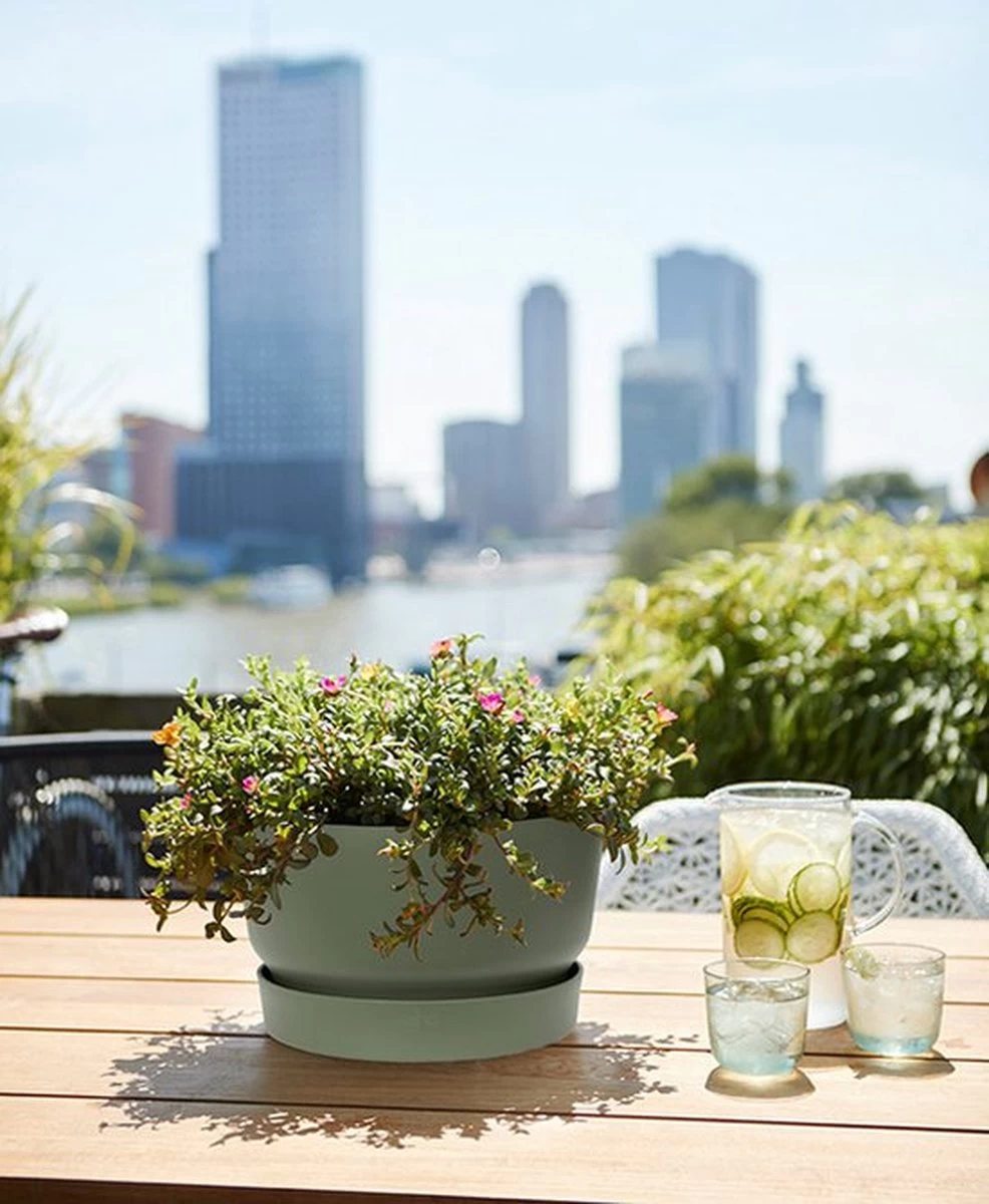 Elho Greenville Schaal 33 - Bloempot Voor Buiten - Ø 32.5 X H 19.4 Cm - Groen/Blad Groen 3 Elho Greenville Schaal 33 - Bloempot Voor Buiten - Ø 32.5 X H 19.4 Cm - Groen/Blad Groen - Afbeelding 3