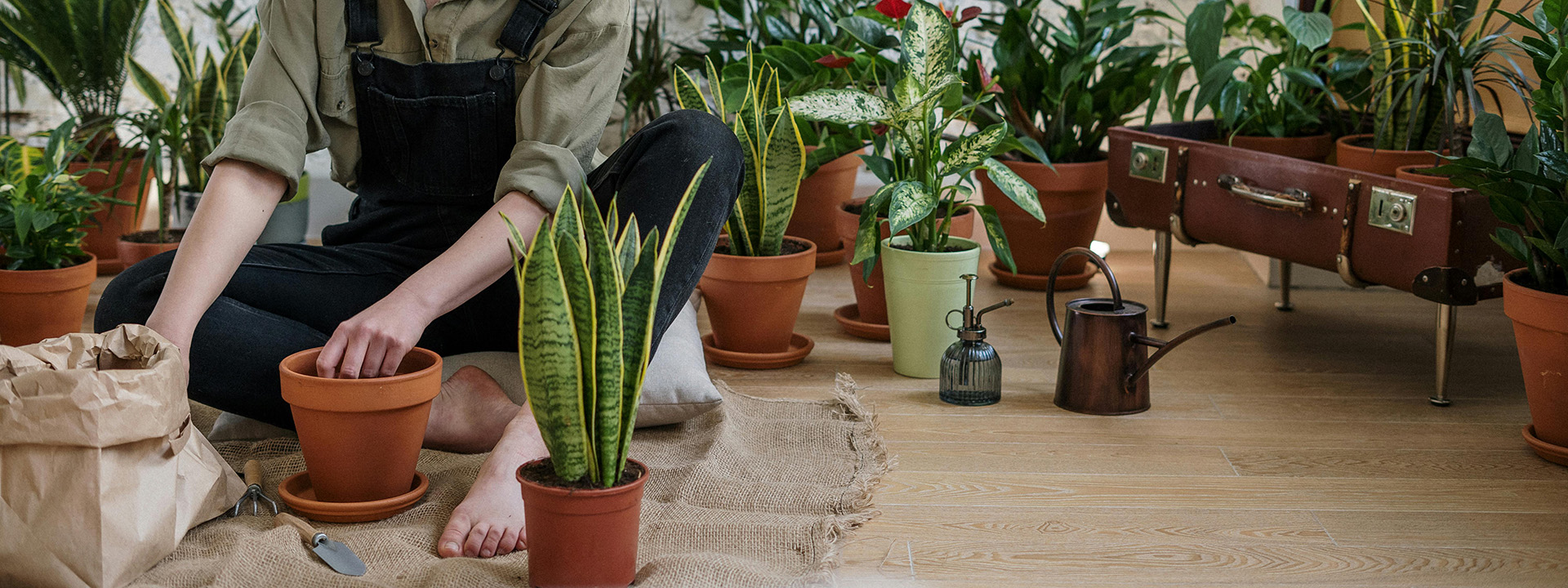 Tuin En Buiten -Tuin En Buiten pexels cottonbro 4505166